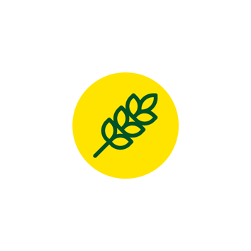 Getreidehalm-Symbol für glutenfreies Produkt